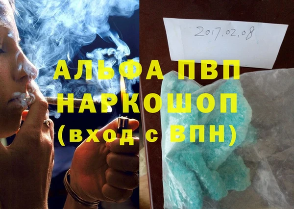 стаф Надым