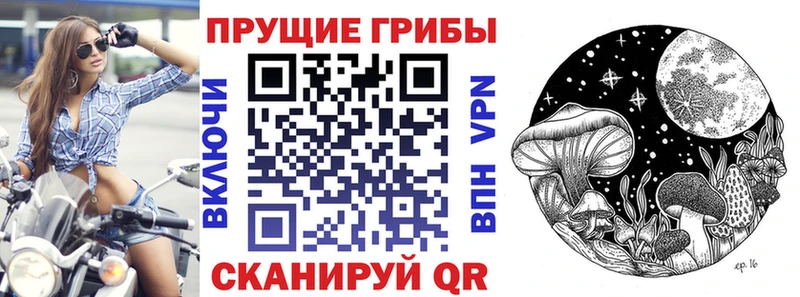 Галлюциногенные грибы Psilocybe  цена   Юрюзань 
